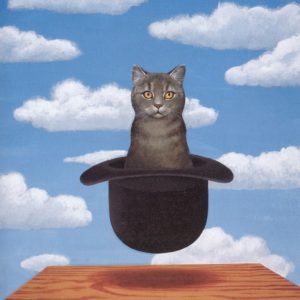 Gatto nel Cappello