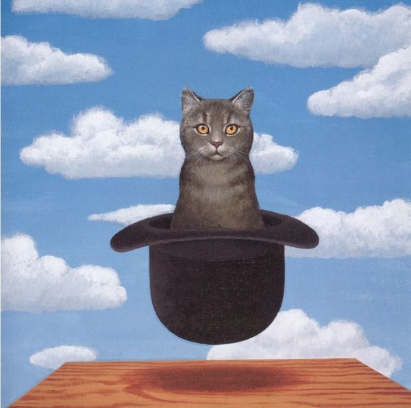 Gatto nel Cappello