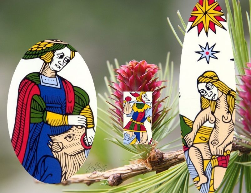 Larch-Tarot-LL-Firma